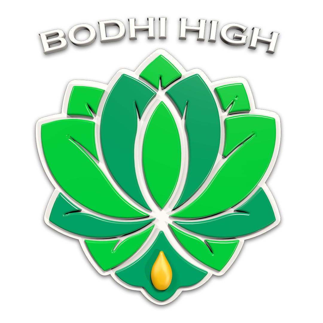 //thegalleryco.com/wp-content/uploads/2020/06/BodhiHigh-3DLogo.png