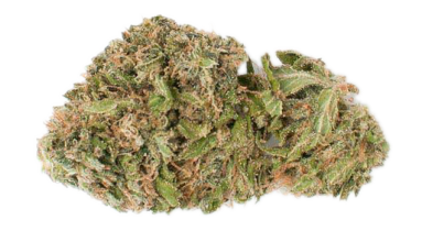 https://thegalleryco.com/wp-content/uploads/2020/06/cannibis-bud-383x210.png